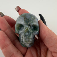 Skull Carvings-Earth Fairy Holistics