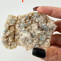 Chalcedony (w/Copper/Chrysocolla & Malachite Incl) Botryoidal Specimens