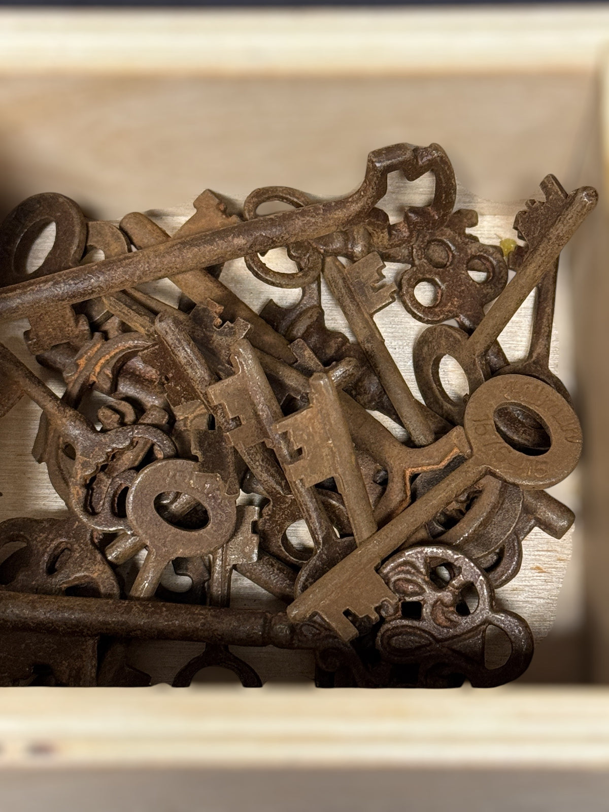 Rusty Skeleton Keys – Unlock the Mysteries of Magic and Lore-Earth Fairy Holistics