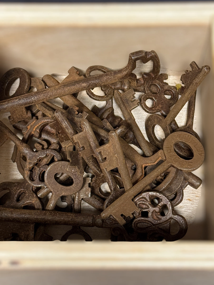 Rusty Skeleton Keys – Unlock the Mysteries of Magic and Lore-Earth Fairy Holistics