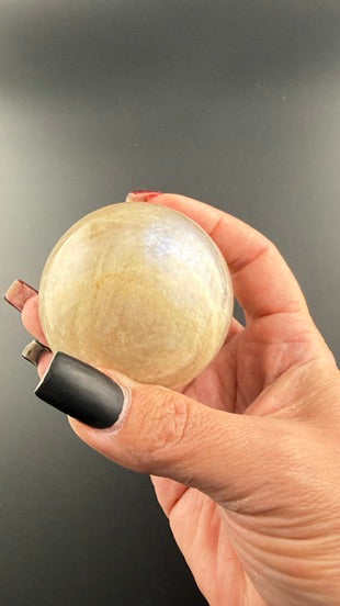 Blue Flash Moonstone Spheres-Earth Fairy Holistics