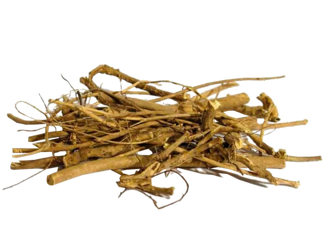 Devils Shoestring Root (MAGICAL USE ONLY - NOT FOR INGESTING)-Earth Fairy Holistics