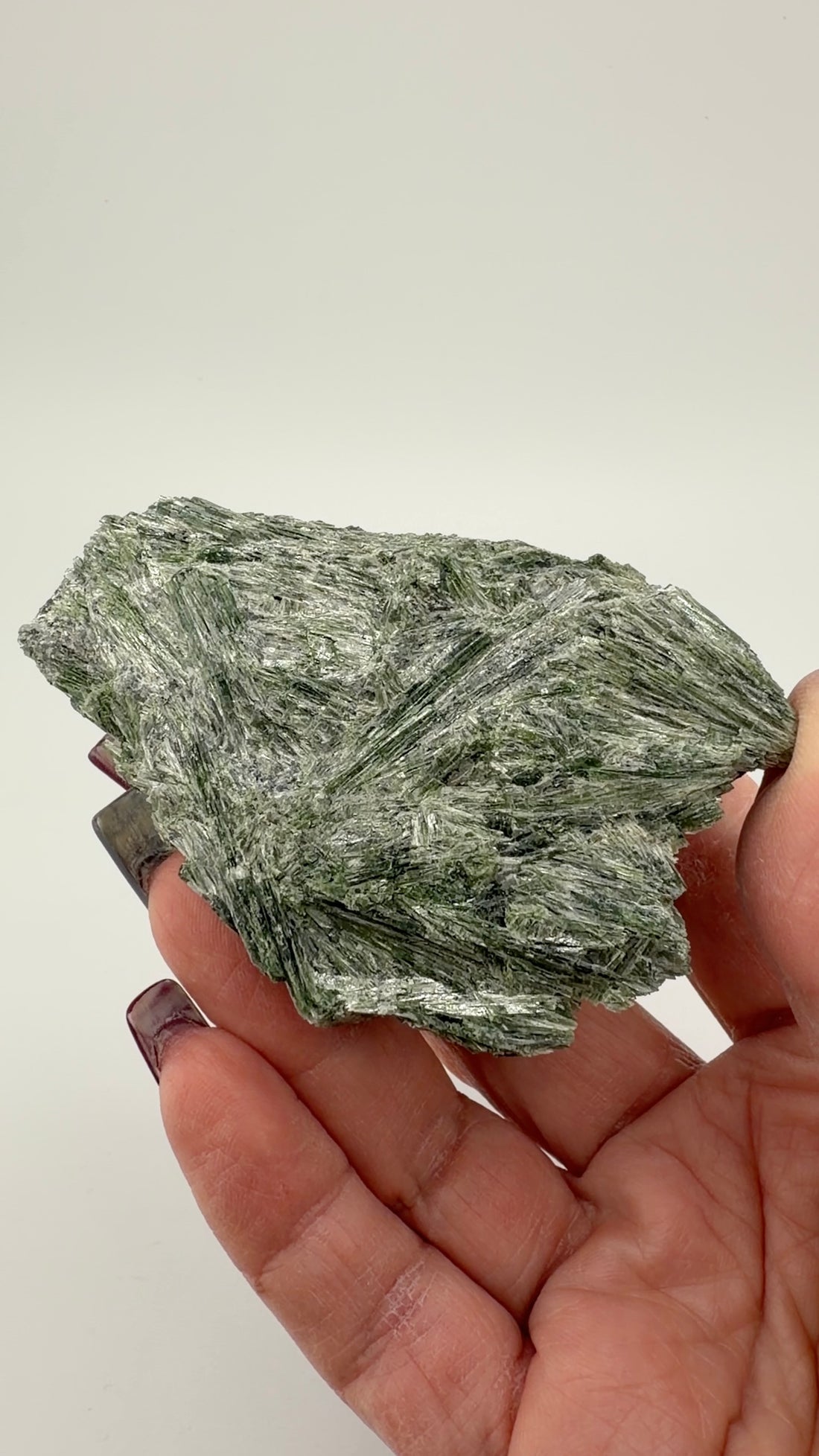 Actinolite Specimens