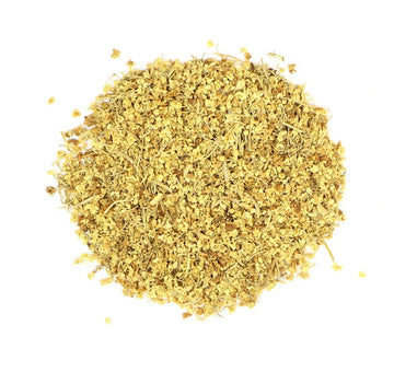 Organic Elder Flower (Sambucus nigra)-Earth Fairy Holistics
