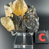 Kundalini Citrine-Earth Fairy Holistics