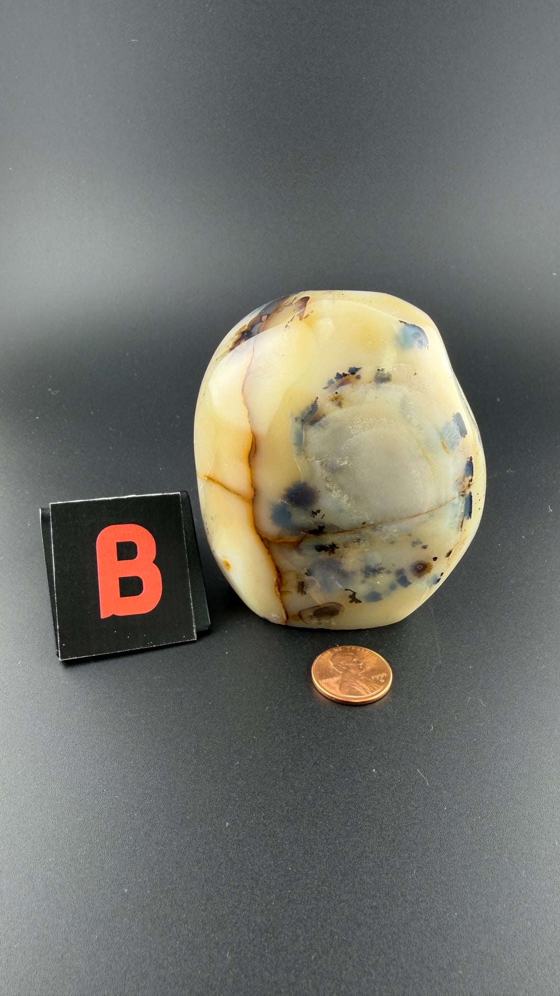 Dendritic Agate Free Form-Earth Fairy Holistics