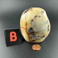Dendritic Agate Free Form-Earth Fairy Holistics