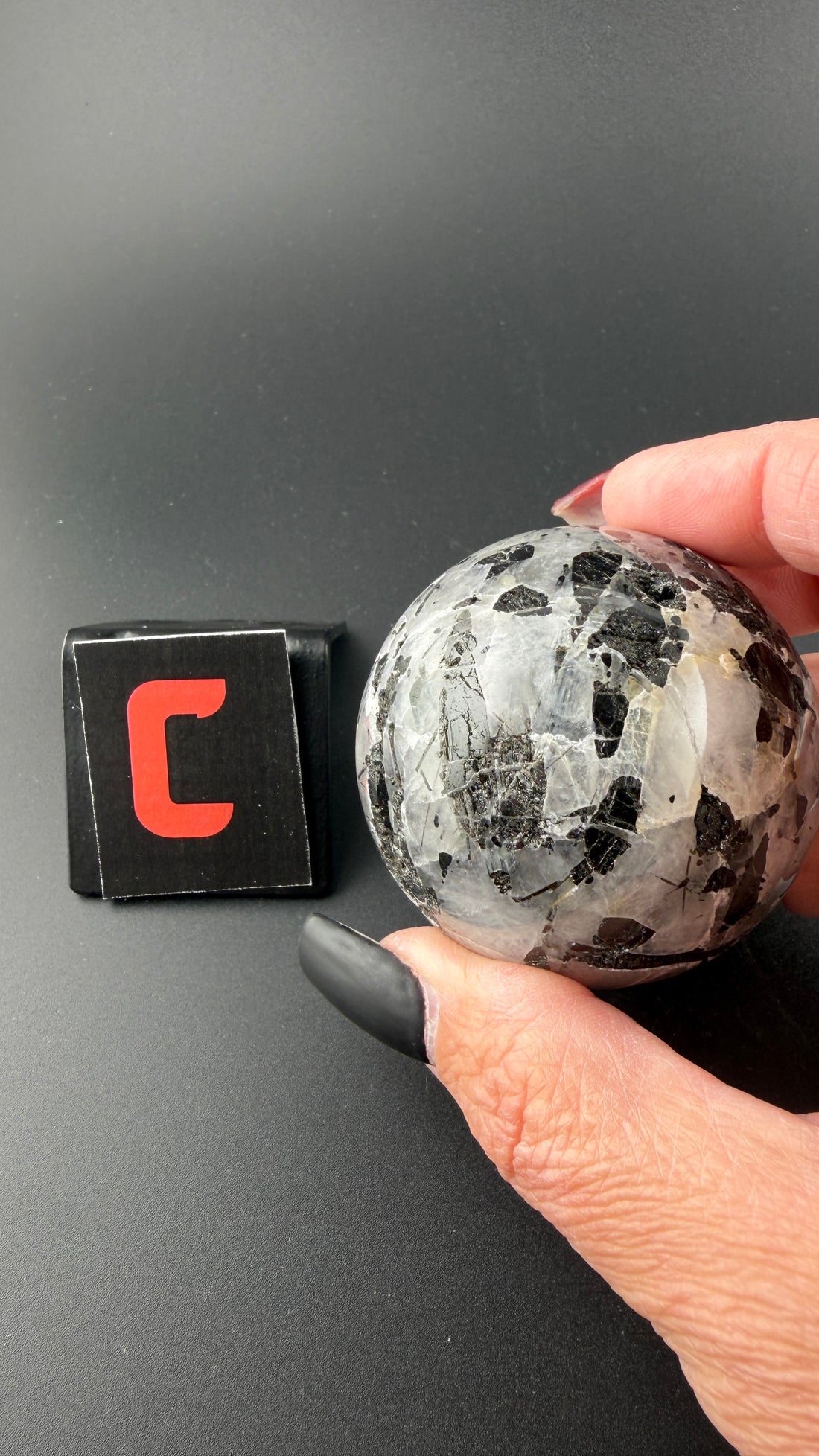 Black Tourmaline in Quartz Sphere-Earth Fairy Holistics