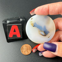 Scenic Dendritic Agate Flat Stones-Earth Fairy Holistics
