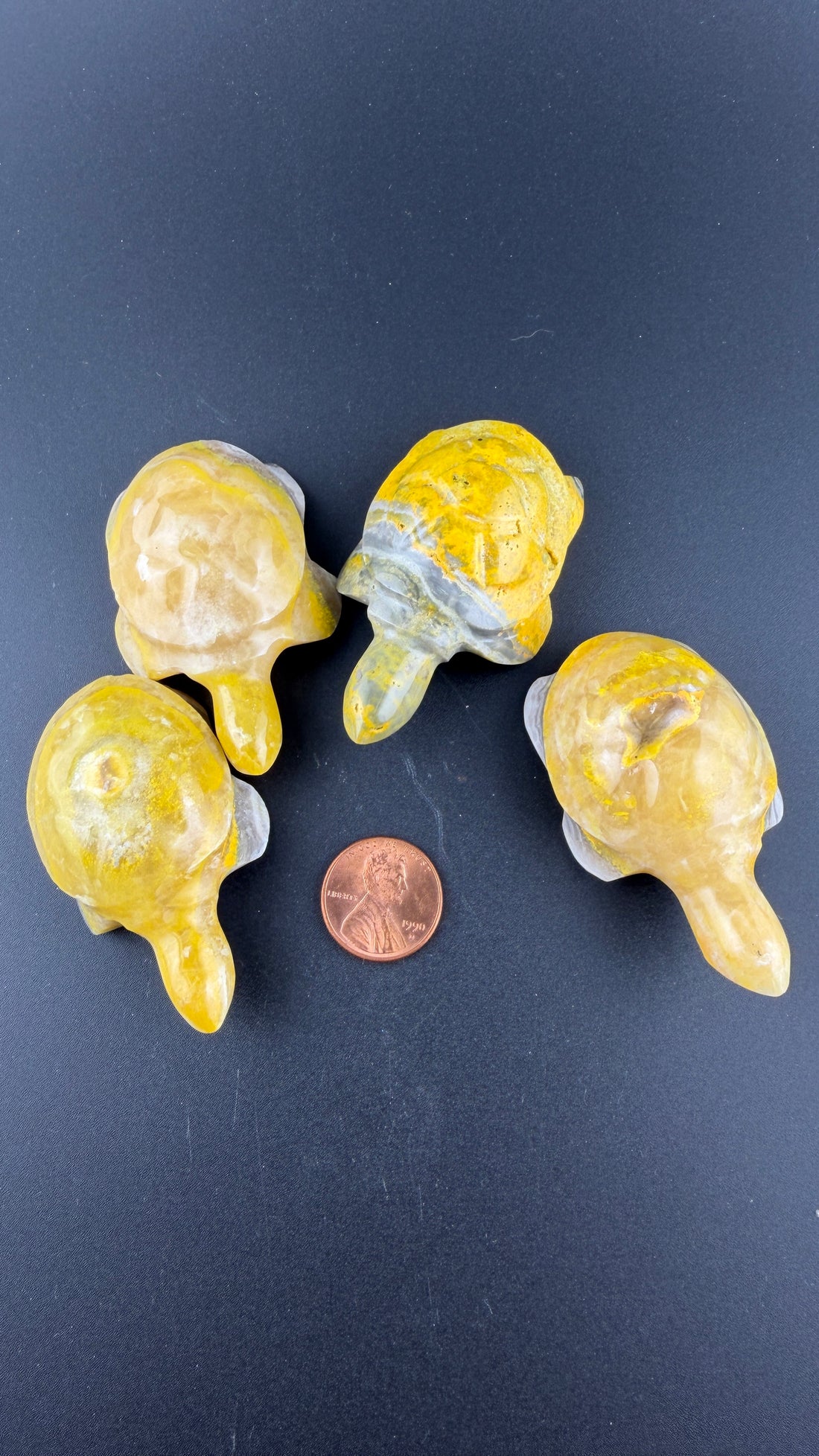 Bumblebee Jasper Turtles-Earth Fairy Holistics