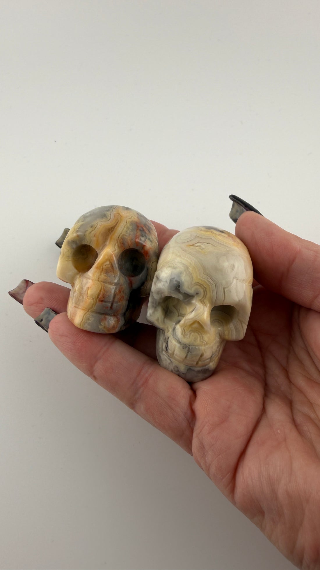 Skull Carvings-Earth Fairy Holistics
