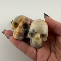 Skull Carvings-Earth Fairy Holistics