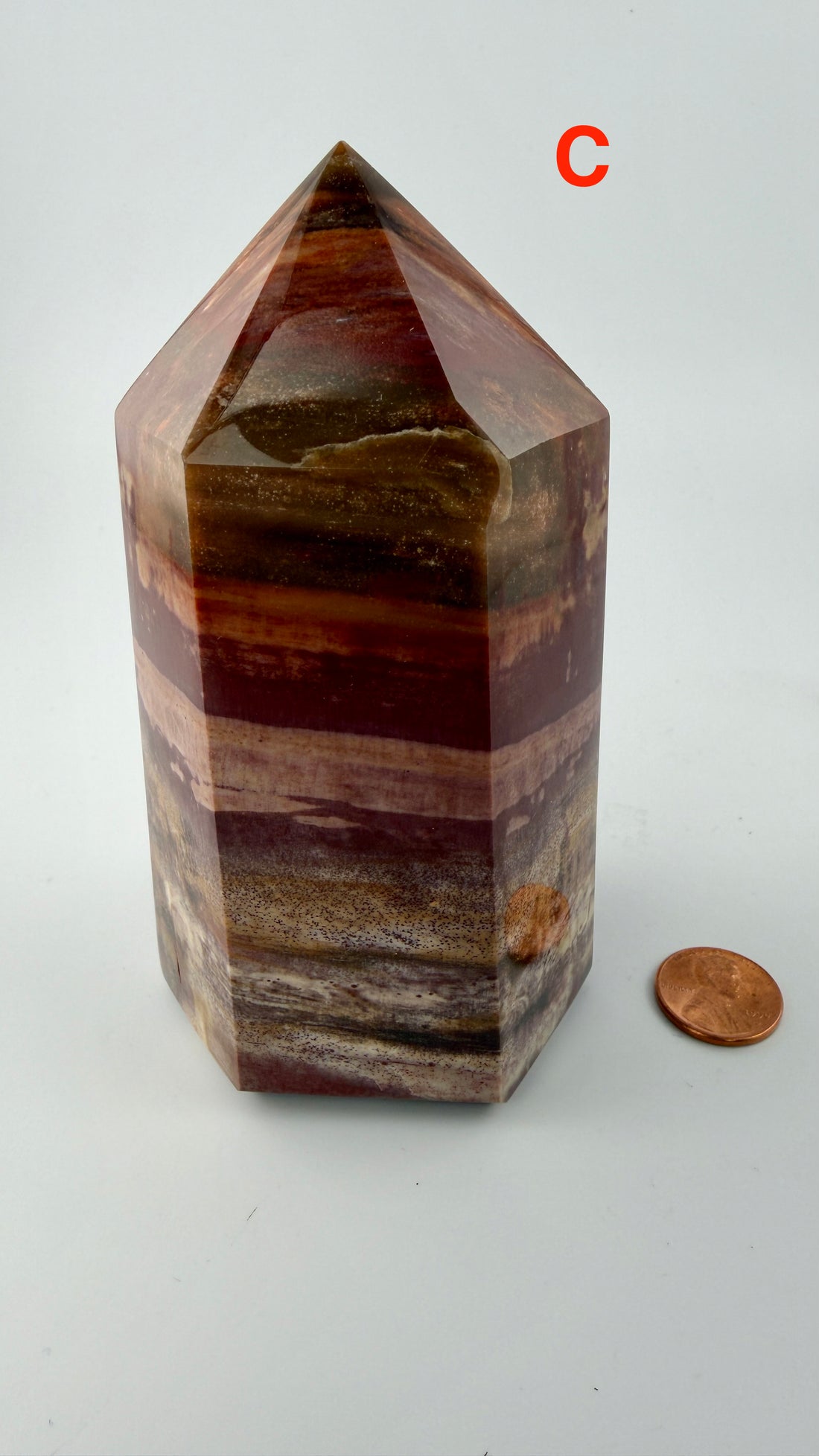 Petrified Wood Towers-Earth Fairy Holistics