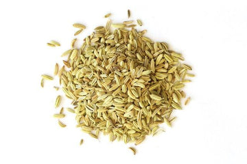 Organic Fennel Seed - Whole (Foeniculum vulgare)-Earth Fairy Holistics
