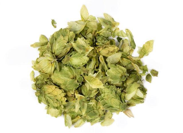 Organic Hops Flowers (Humulus lupulus)-Earth Fairy Holistics