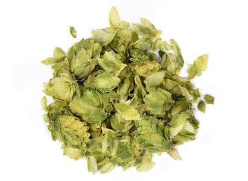 Organic Hops Flowers (Humulus lupulus)-Earth Fairy Holistics