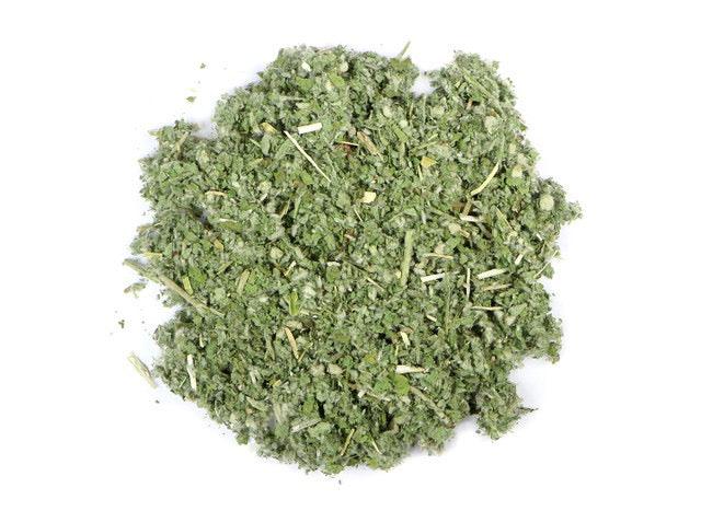 Organic Horehound (Marrumbium vulgare)-Earth Fairy Holistics