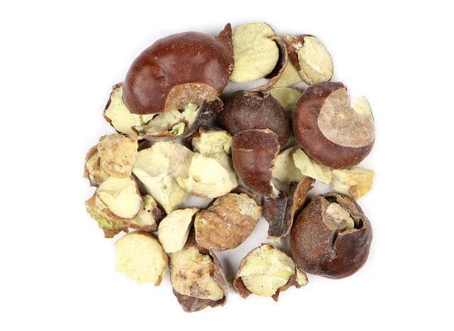Organic Horse Chestnut (Aesculus hippocastanum)-Earth Fairy Holistics