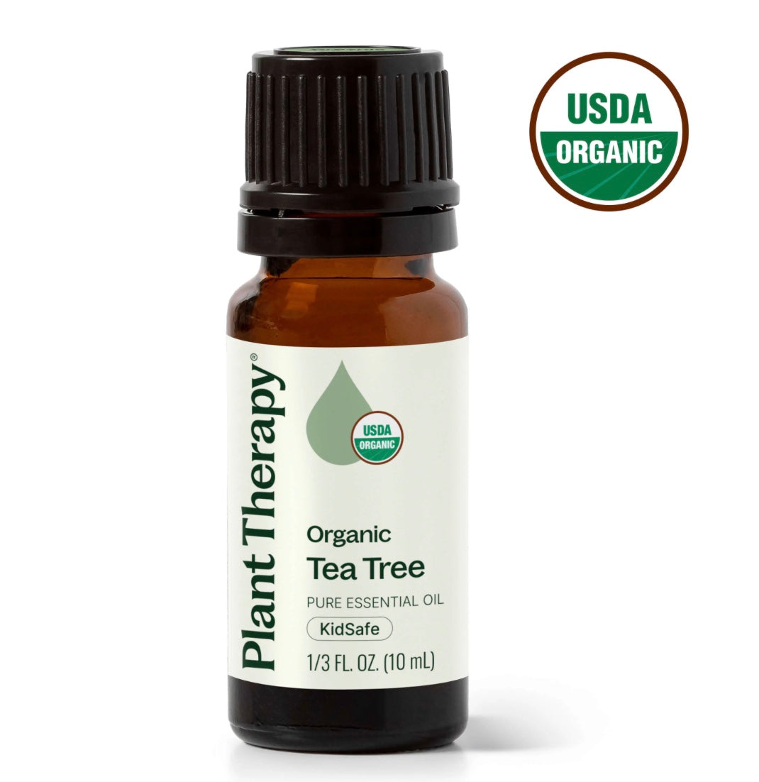 Plant Therapy Organic Tea Tree Essential Oil-Earth Fairy Holistics