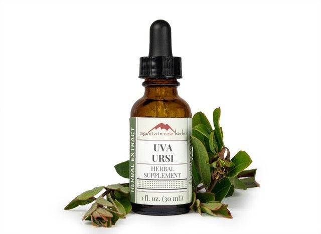 Uva Ursi Extract-Earth Fairy Holistics