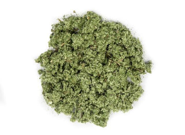 Organic Mugwort (Artemisia vulgaris)-Earth Fairy Holistics