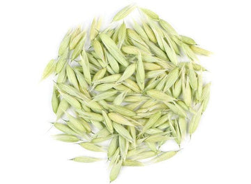 Organic Oat Tops (Avena sativa)-Earth Fairy Holistics