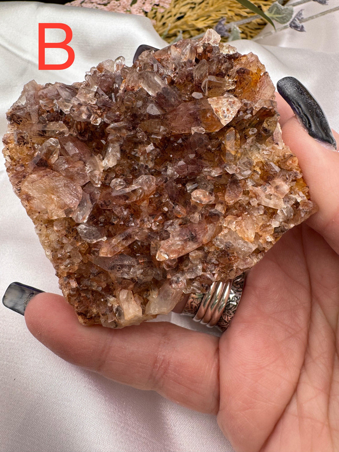 Phantom Quartz Clusters (Large)-Earth Fairy Holistics