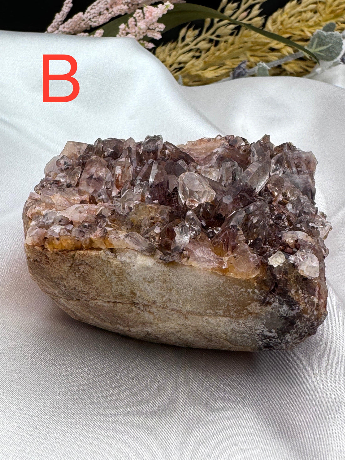 Phantom Quartz Clusters (Large)-Earth Fairy Holistics