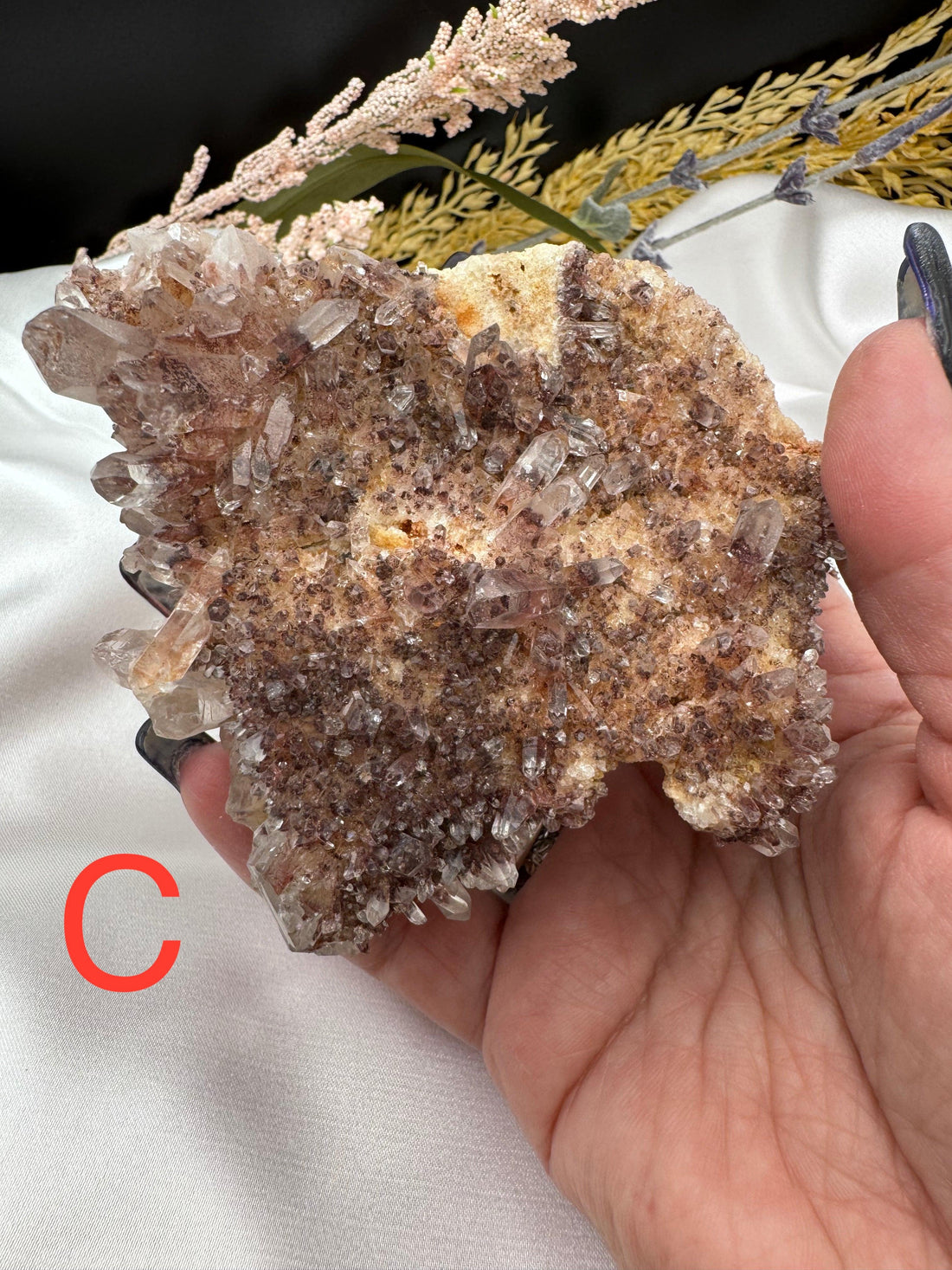Phantom Quartz Clusters (Large)-Earth Fairy Holistics