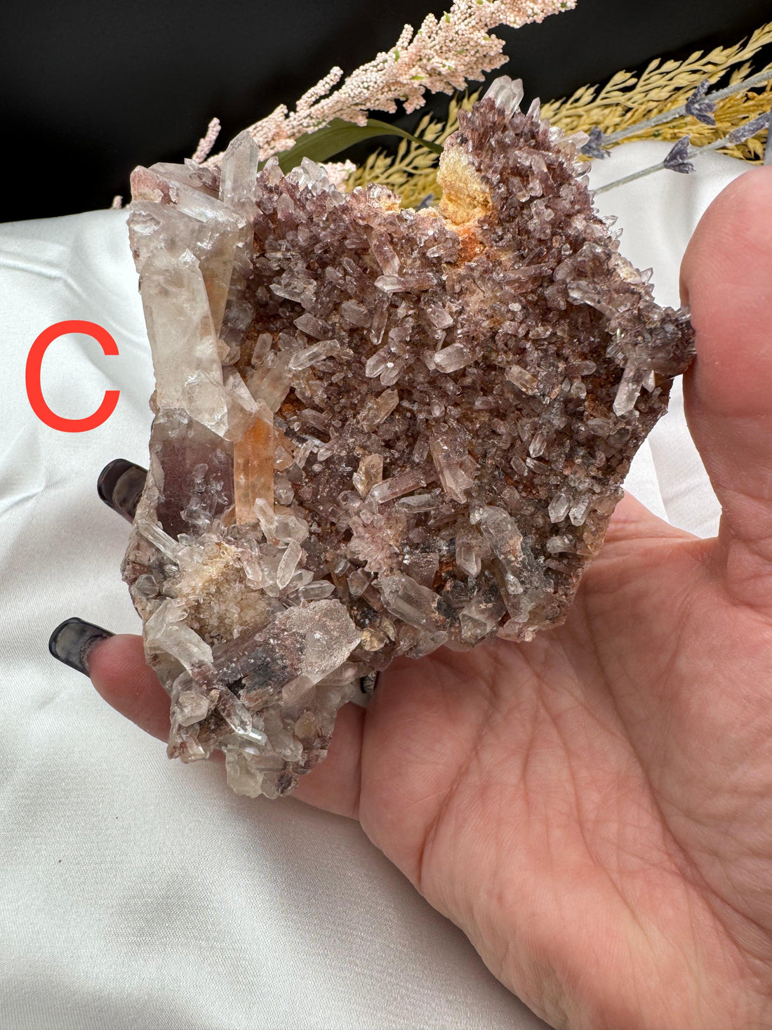 Phantom Quartz Clusters (Large)-Earth Fairy Holistics