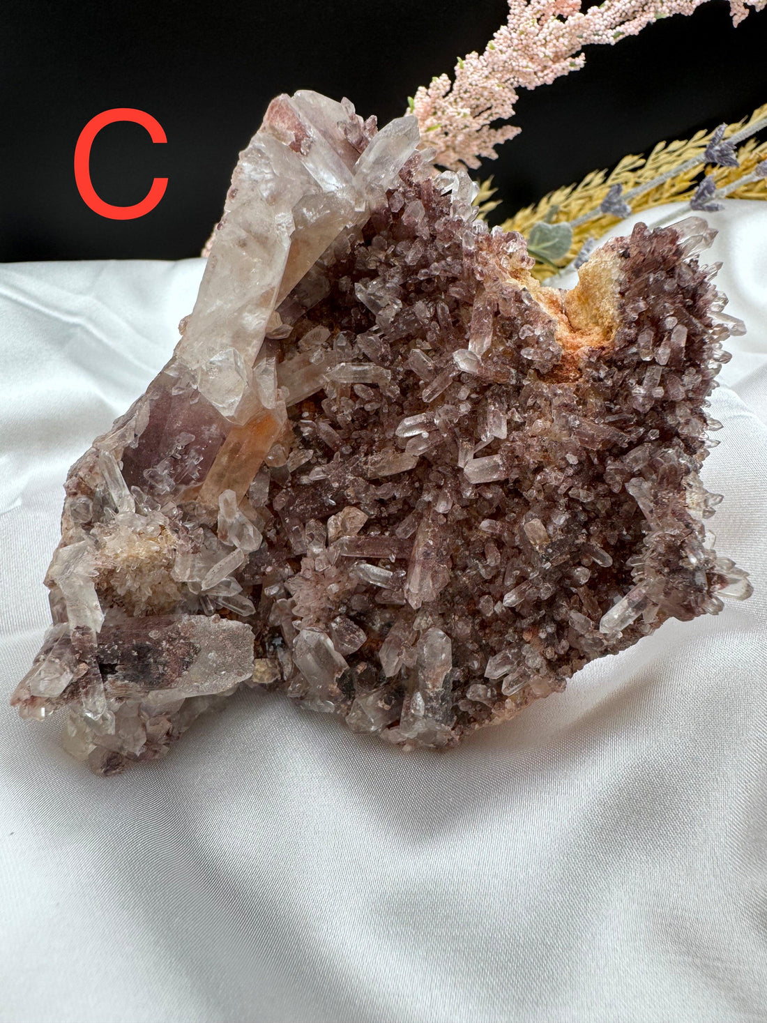 Phantom Quartz Clusters (Large)-Earth Fairy Holistics
