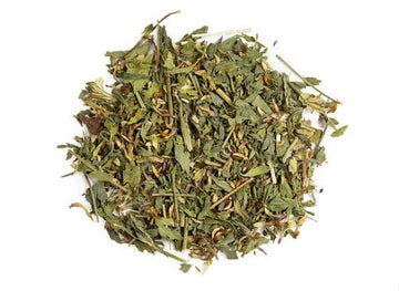Organic Red Clover Herb (Trifolium pratense)-Earth Fairy Holistics