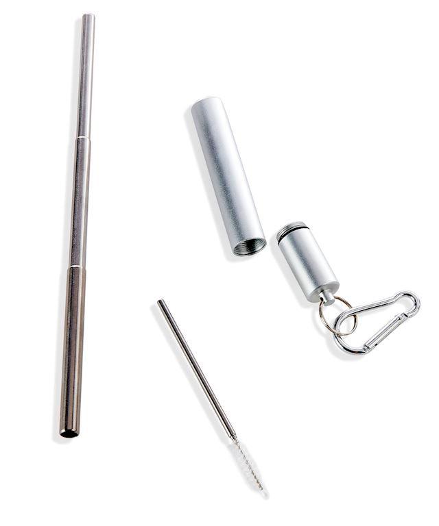 Reusable Steel Straw Set-Earth Fairy Holistics