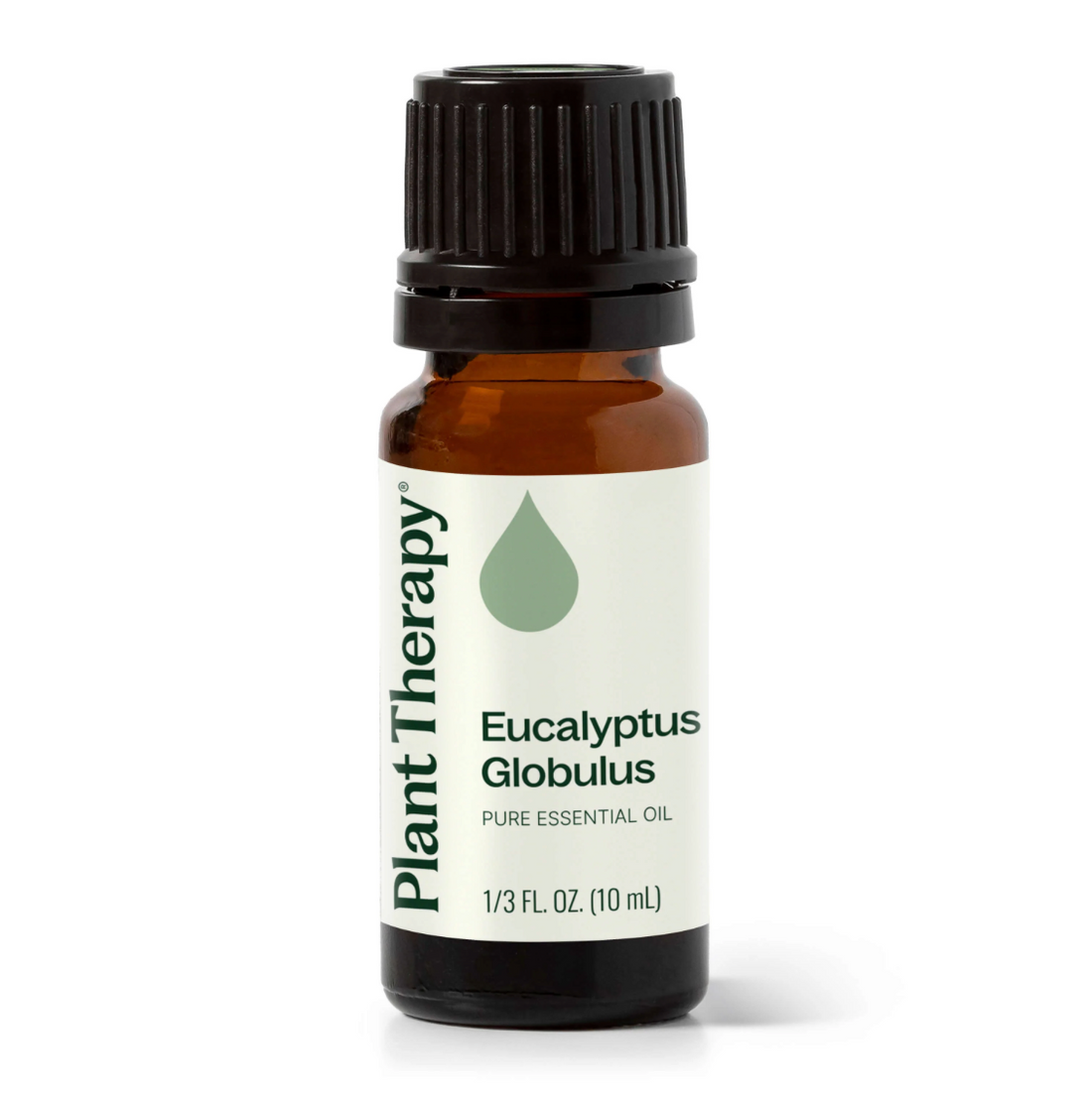 Plant Therapy Eucalyptus Globulus Essential Oil-Earth Fairy Holistics