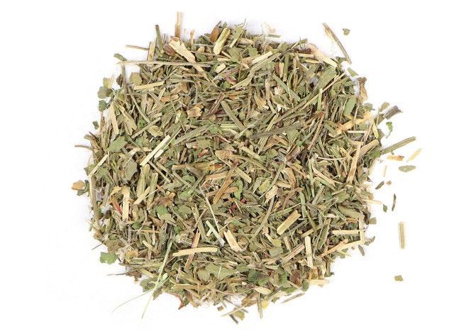 Organic Sheep Sorrel (Rumex acetosella)-Earth Fairy Holistics