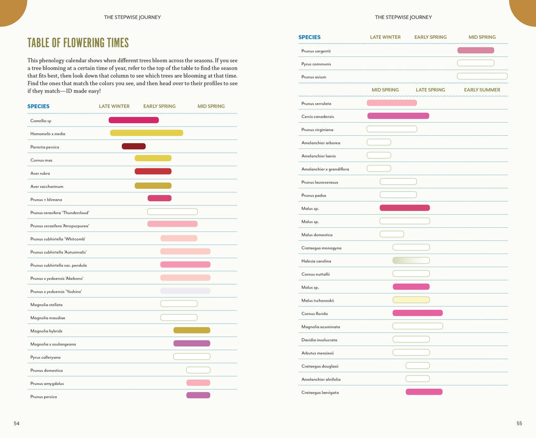 The Trees Around You-Earth Fairy Holistics