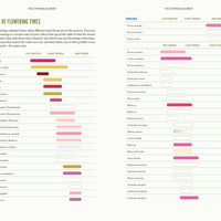 The Trees Around You-Earth Fairy Holistics