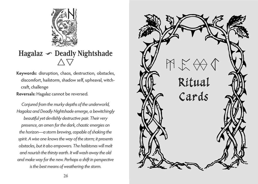 Runes and Roots Oracle by Nicolette Miele-Earth Fairy Holistics