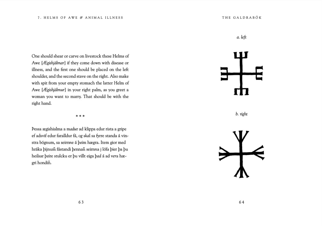 The Galdrabók: Forbidden Icelandic Folk Magic-Earth Fairy Holistics