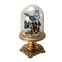 16273 Butterfly Skull Cloche-Earth Fairy Holistics