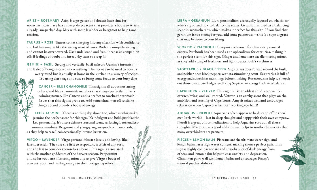 Holistic Witch by Leanna Greenaway-Earth Fairy Holistics