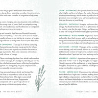 Holistic Witch by Leanna Greenaway-Earth Fairy Holistics