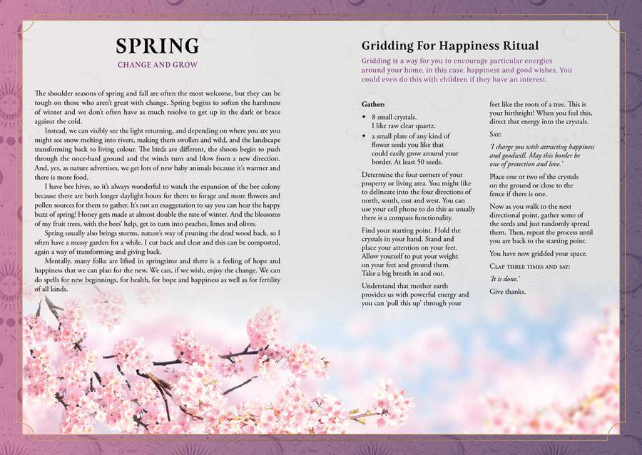 2026 Lunar and Seasonal Planner Calendar: Northern Hemisphere by Stacey Demarco-Earth Fairy Holistics