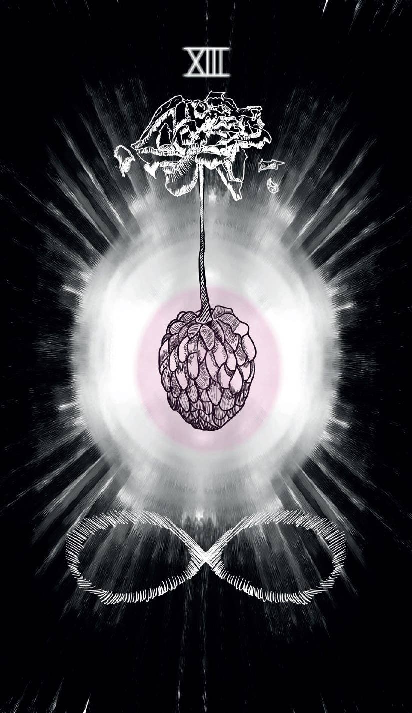 Sacred Web Tarot, The: Jannie Bui Brown-Earth Fairy Holistics