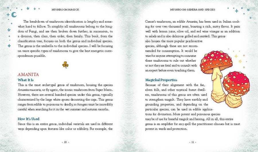 Mushroom Magick by Shawn Engel-Earth Fairy Holistics