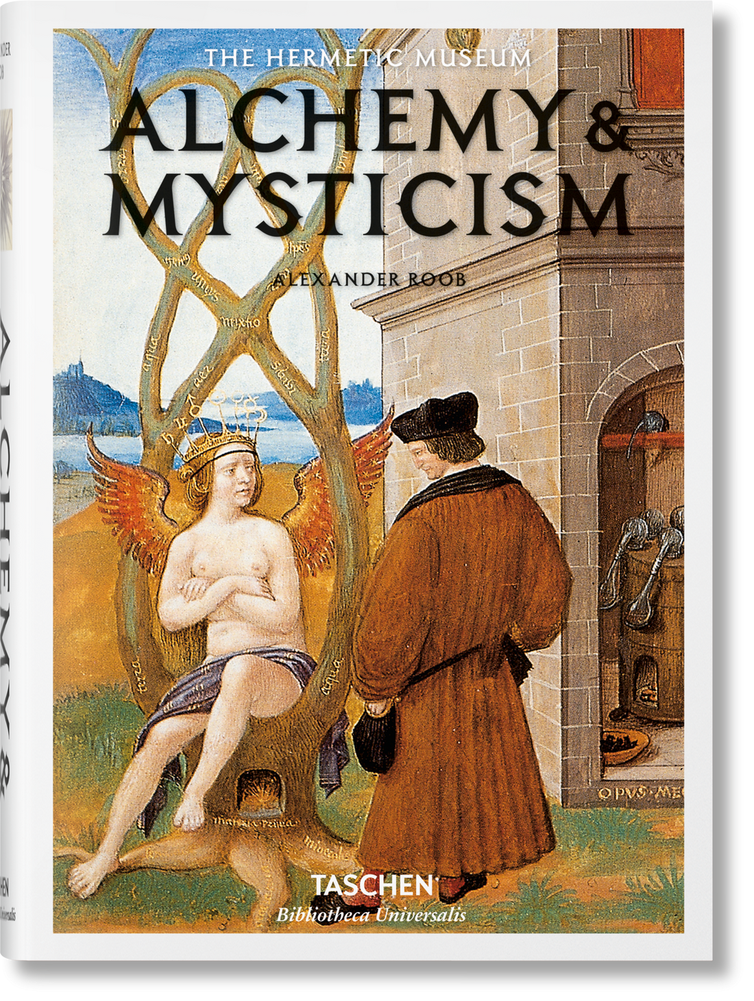 Alchemy & Mysticism (English)-Earth Fairy Holistics