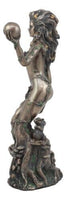 9101 Gaia C/16-Earth Fairy Holistics