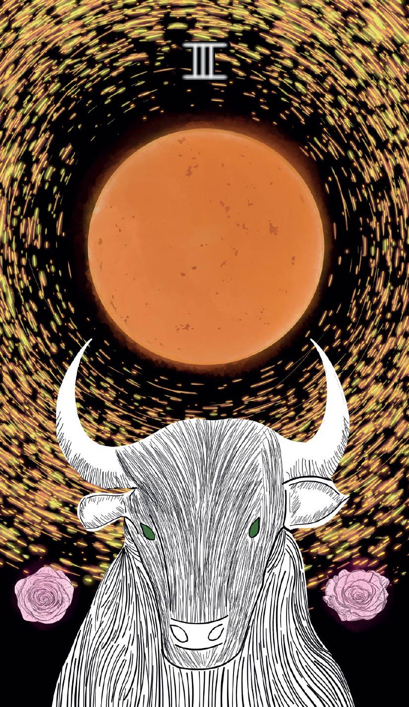 Sacred Web Tarot, The: Jannie Bui Brown-Earth Fairy Holistics