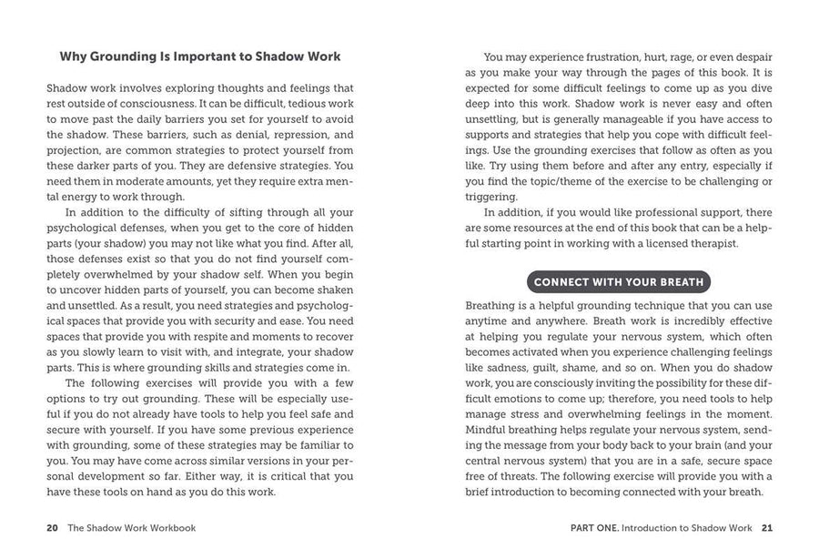 Shadow Work Workbook by Jor-El Caraballo-Earth Fairy Holistics