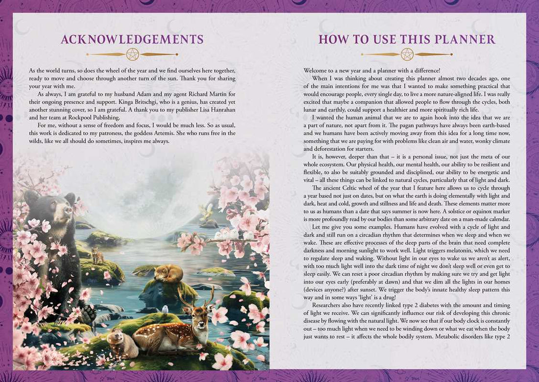 2026 Lunar and Seasonal Planner Calendar: Northern Hemisphere by Stacey Demarco-Earth Fairy Holistics